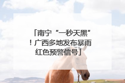 南宁“一秒天黑”！广西多地发布暴雨红色预警信号